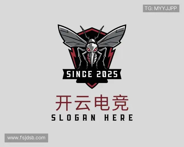介绍开云电竞