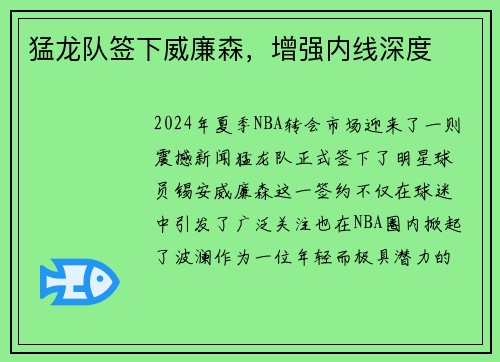 猛龙队签下威廉森，增强内线深度